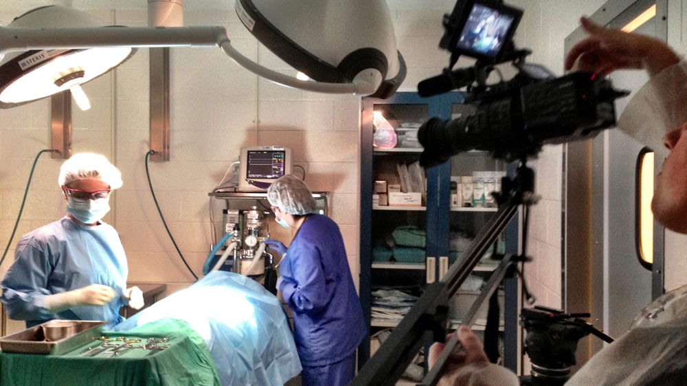 Types of Medical Video Production