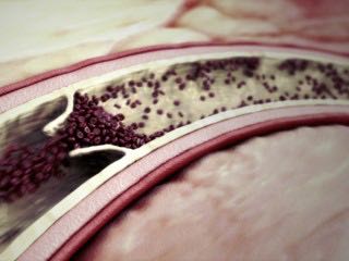 blood_flow_animation