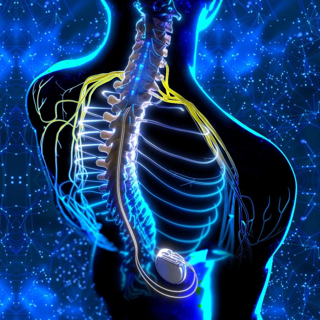 Medical Illustration